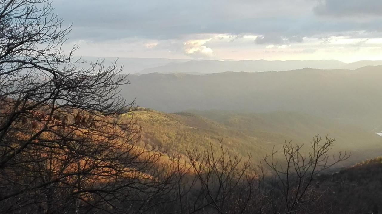 Gite Le Cerisier Via Rhona Dolce Via La Voulte-sur-Rhone 외부 사진